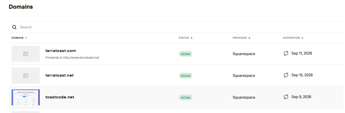 List of purchased domains in Squarespace