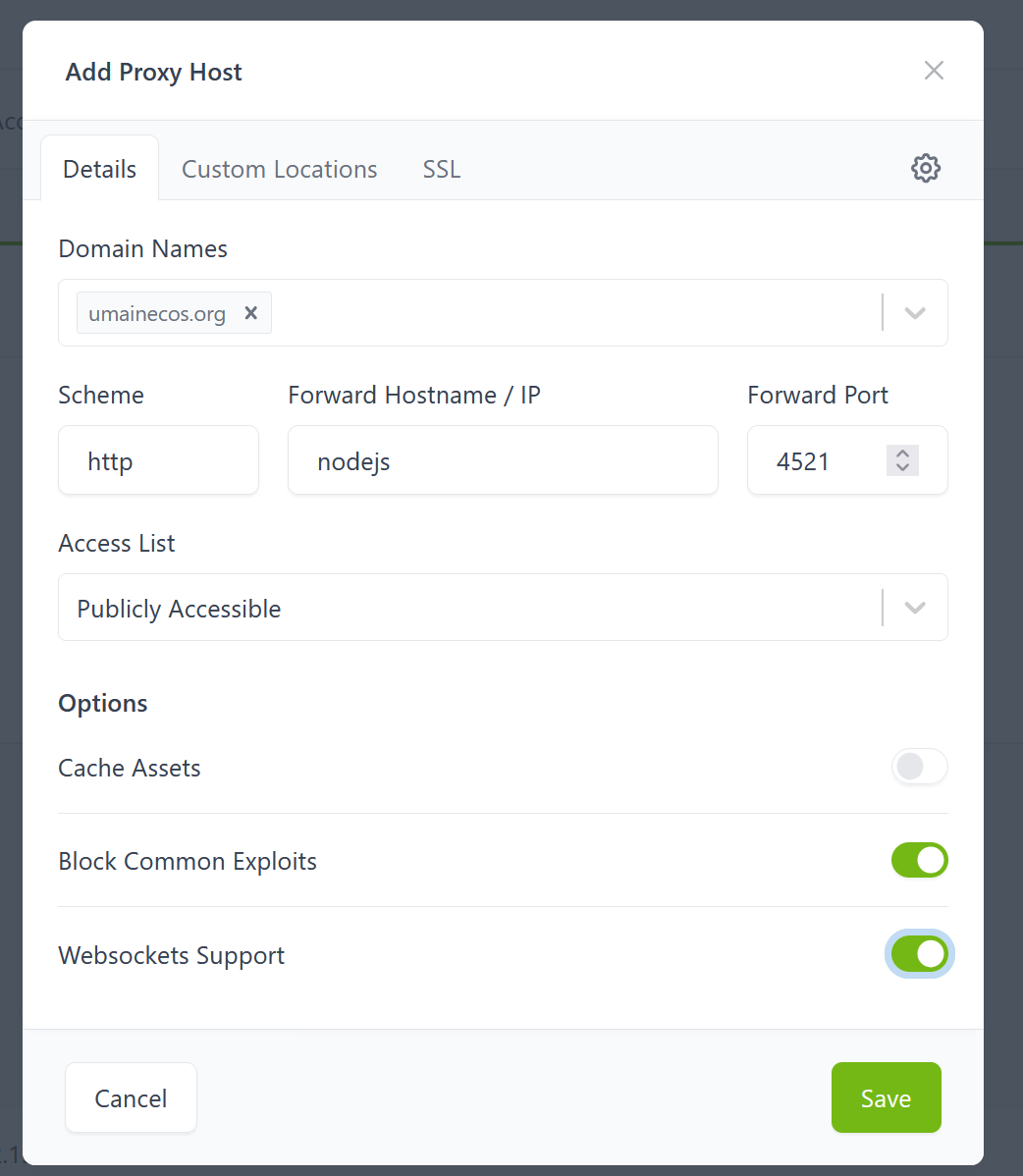 Proxy host details